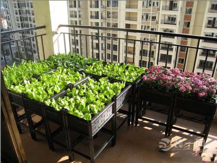 夏天菜园种菜?杭州阳台阳台装修设计小区v菜园效果图纸图片
