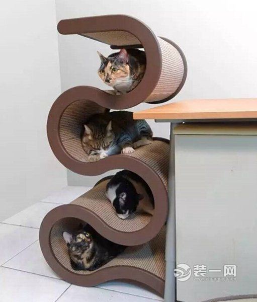 猫奴家居装修新花样 专属喵星人的猫舍设计 -