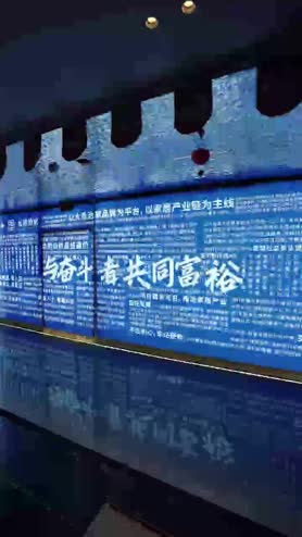大愚治家装饰