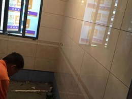 锦上庭