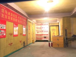国悦府