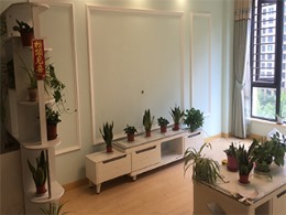 【鸿都装饰】金茂府竣工验收