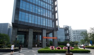 公司介绍