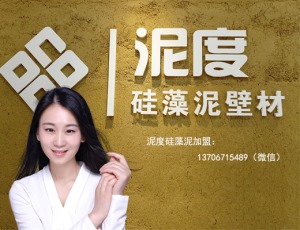 公司介绍