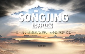 公司介绍