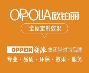 公司介绍